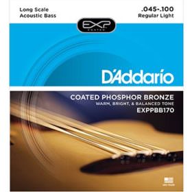 Phosphor Bronze Acoustic Bass